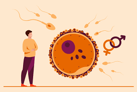 ẢNH HƯỞNG CỦA CẦN SA DẾN QUA TRÌNH METHYL HOA DNA TINH TRUNG Ở NAM GIỚI : TỔNG QUAN