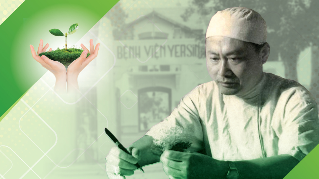 Ghép tạng tại Bệnh viện Hữu nghị Việt Đức