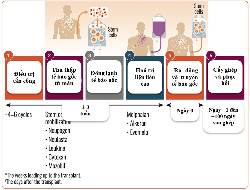 GHÉP TẾ BÀO GỐC ĐIỀU TRỊ BỆNH ĐA U TỦY XƯƠNG: NHỮNG TIẾN BỘ ĐÁNG GHI NHẬN