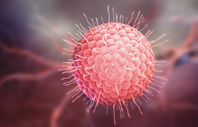 Bệnh ZONA thần kinh và vắc xin phòng bệnh (bệnh giời leo)