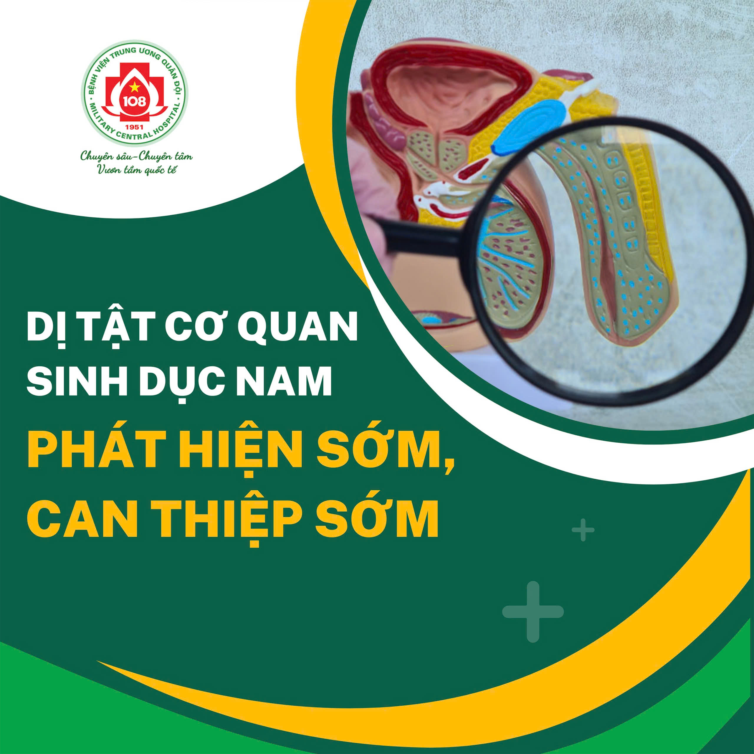 Dị tật cơ quan sinh dục nam: Phát hiện sớm, can thiệp sớm