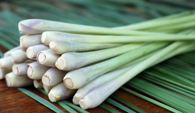 4 lợi ích sức khỏe của củ sả và cách sử dụng.