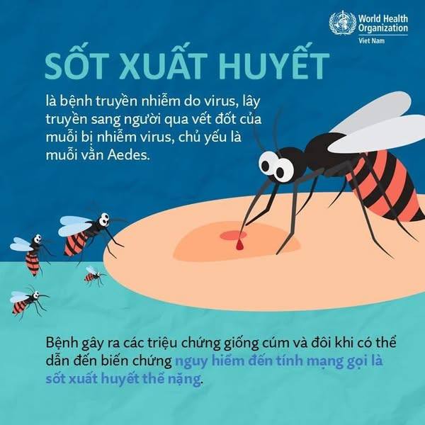 Ngành Y tế tỉnh Ninh Bình tăng cường các hoạt động phòng, chống sốt xuất huyết