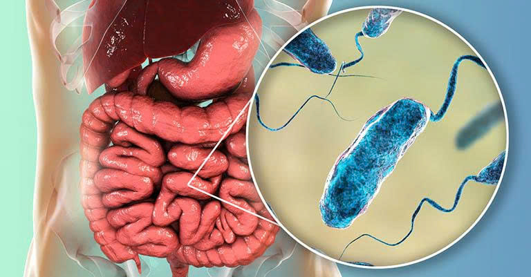 Tìm hiểu về bệnh tả