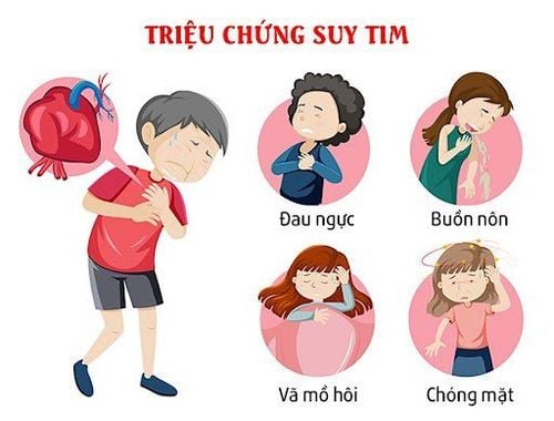 Nhận biết, điều trị và chăm sóc người bệnh suy tim