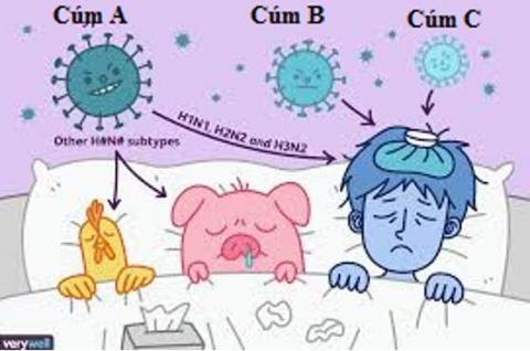 Cúm A vào mùa: Cẩm nang phòng ngừa và điều trị