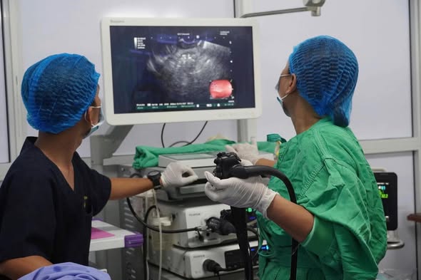 LẦN ĐẦU TIÊN TẠI ĐỒNG BẰNG SÔNG CỬU LONG ĐIỀU TRỊ THÀNH CÔNG BÊNH LÝ NANG GIẢ TỤY BẰNG STENT LAMS DƯỚI HƯỚNG DẤN CỦA NỘI SOI SIÊU ÂM