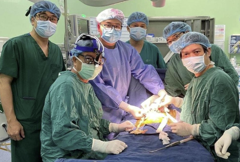 Liệu pháp tế bào gốc mở hy vọng mới cho trẻ mắc teo đường mật bẩm sinh