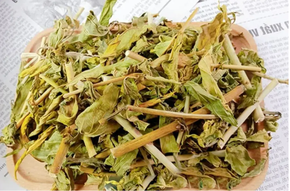 Bài thuốc chữa sẹo lồi từ cây bìm bịp