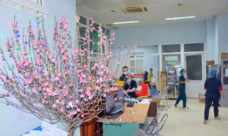 Tăng cường công tác cấp cứu và khám, chữa bệnh dịp Tết Nguyên đán 2026