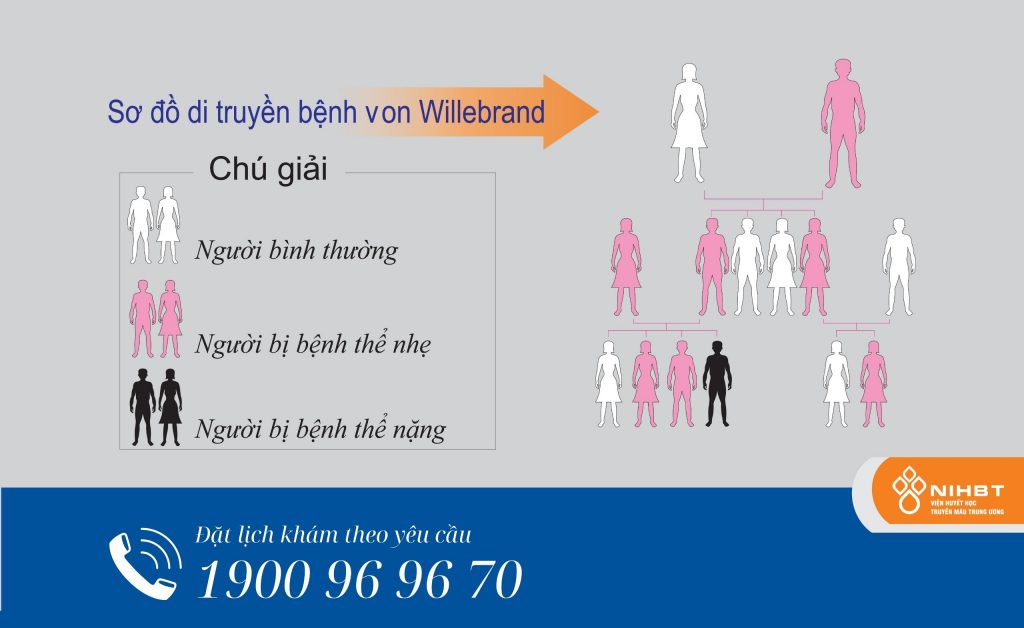 Bệnh von Willebrand là gì và tại sao lại mắc bệnh?
