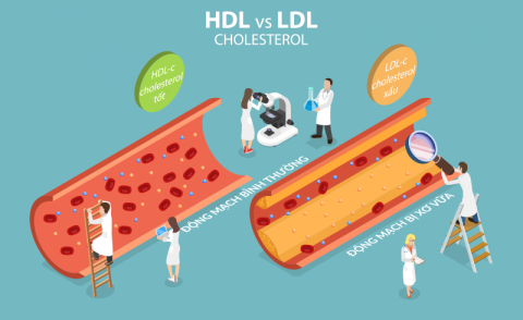 Rối loạn lipid máu: nguyên nhân, biến chứng, điều trị và phòng ngừa